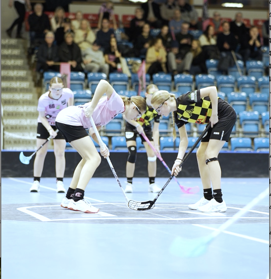 Ska Rmavbild 2024 11 18 Kl 10 39 38