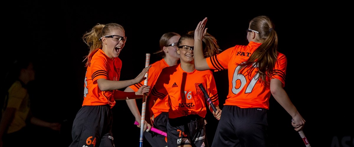 Fbi Tullinge Tojnan Ibk