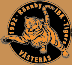 Rönnby Västerås IBK Ungdom