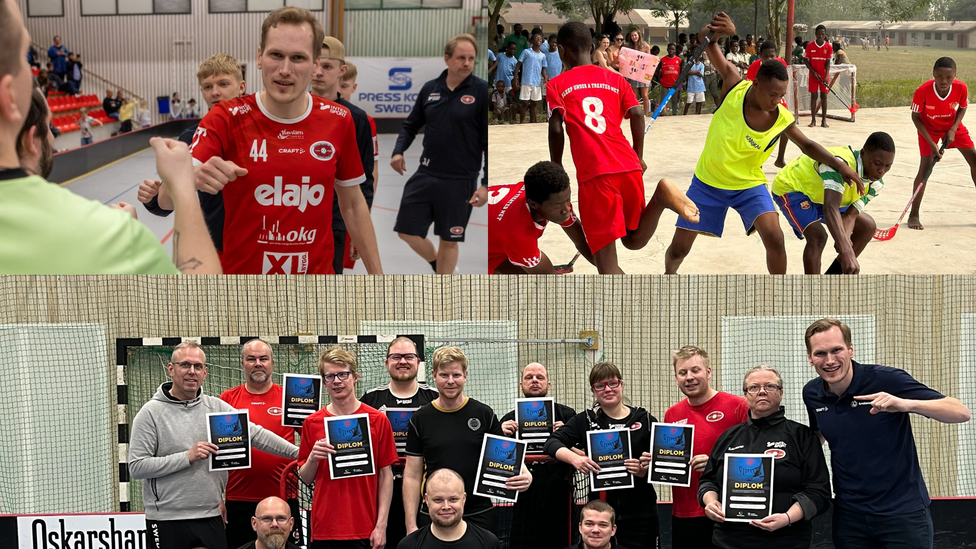 Artikelbildalbinborg