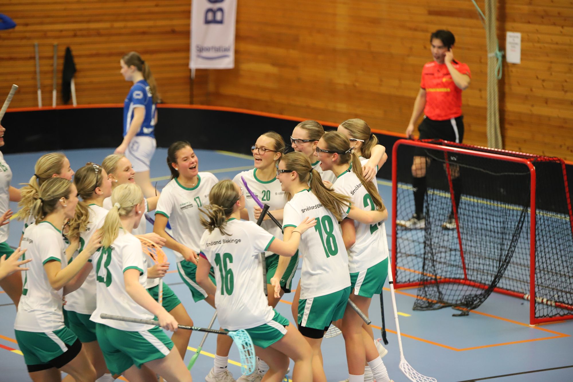 Småland Blekinge F06