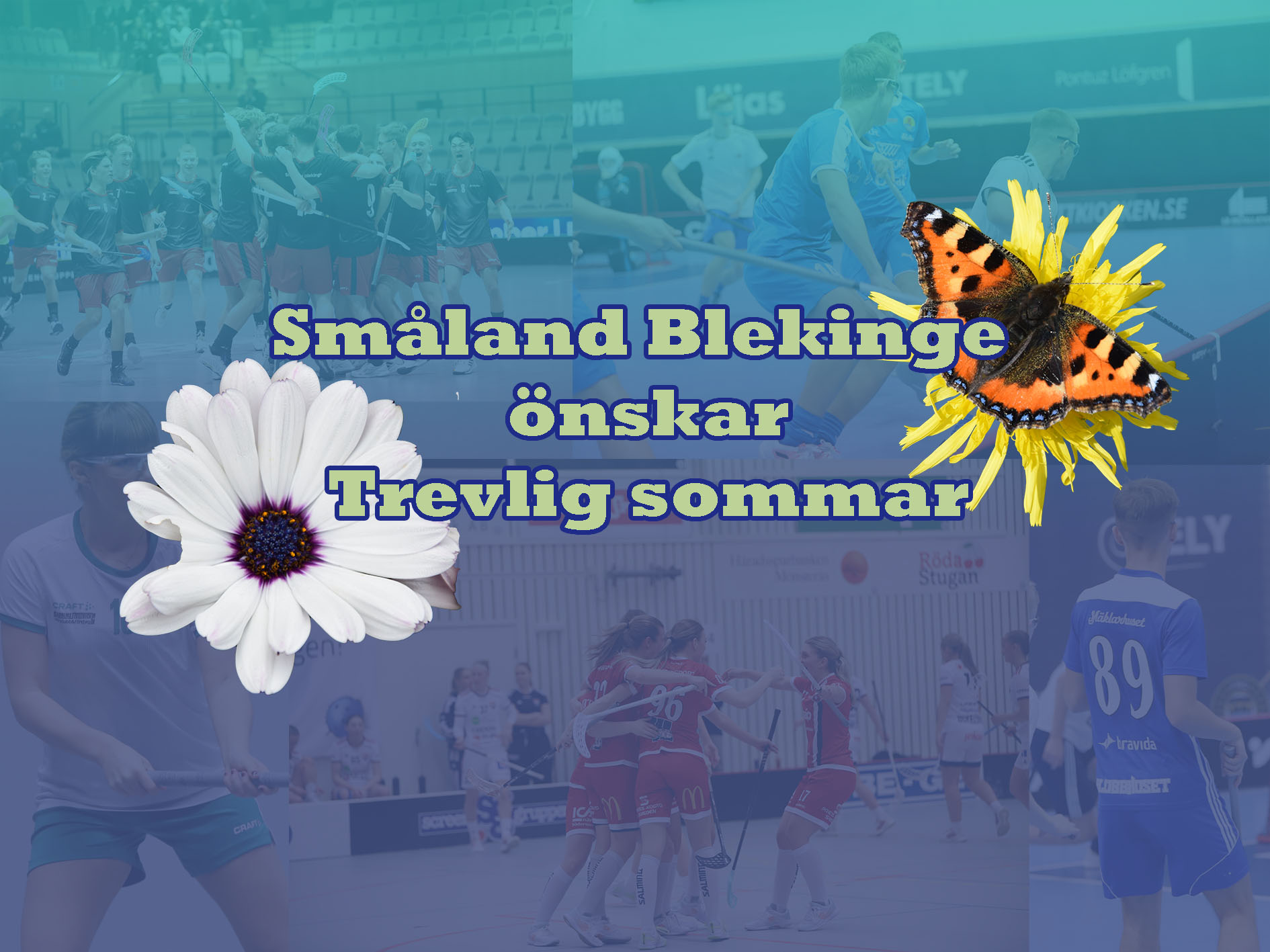 Kollage M Text Kopiera