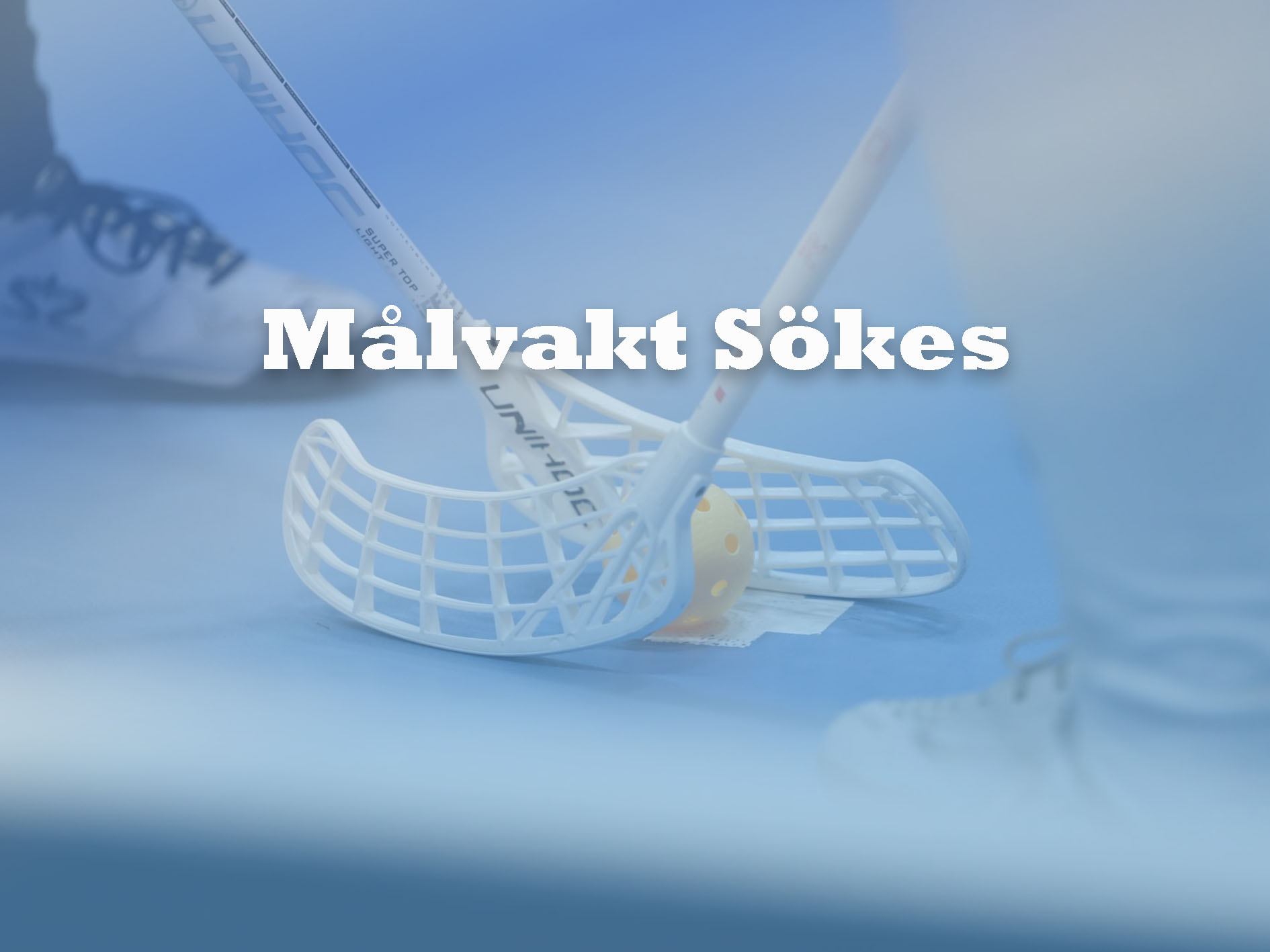 Målvakt Sökes Kopiera