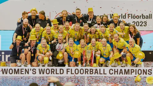 VM Guld3